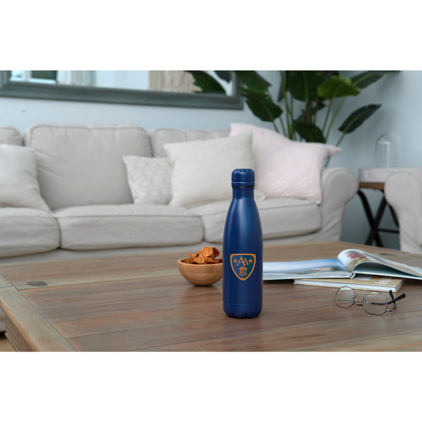 Bouteille isolée sous vide en cuivre 17oz
